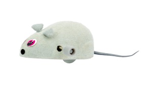 Wind up Mouse
