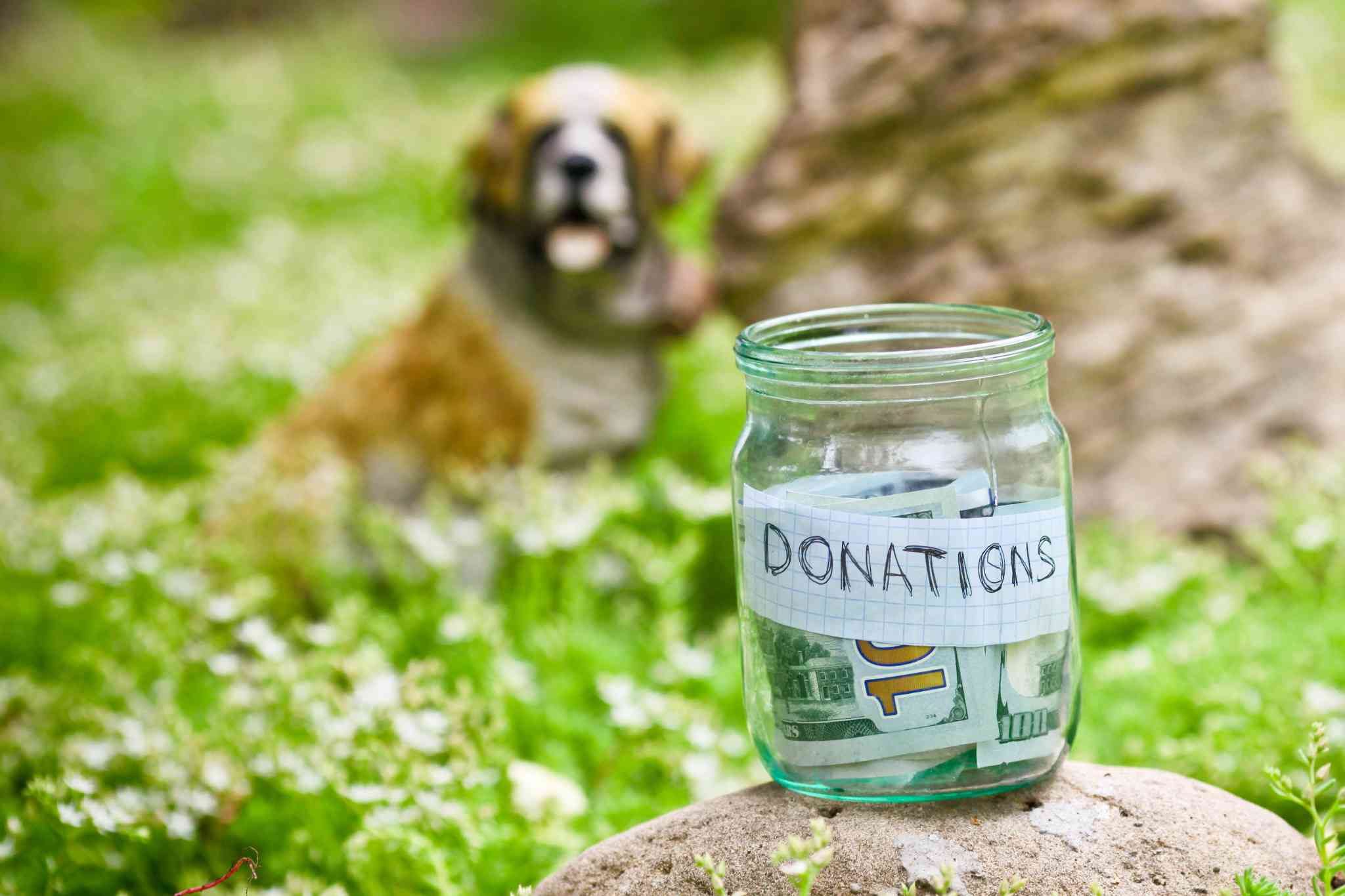 Make a donation