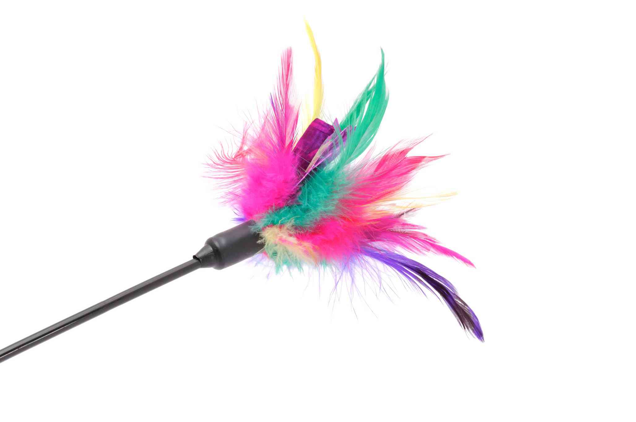 Feathered Cat Pole