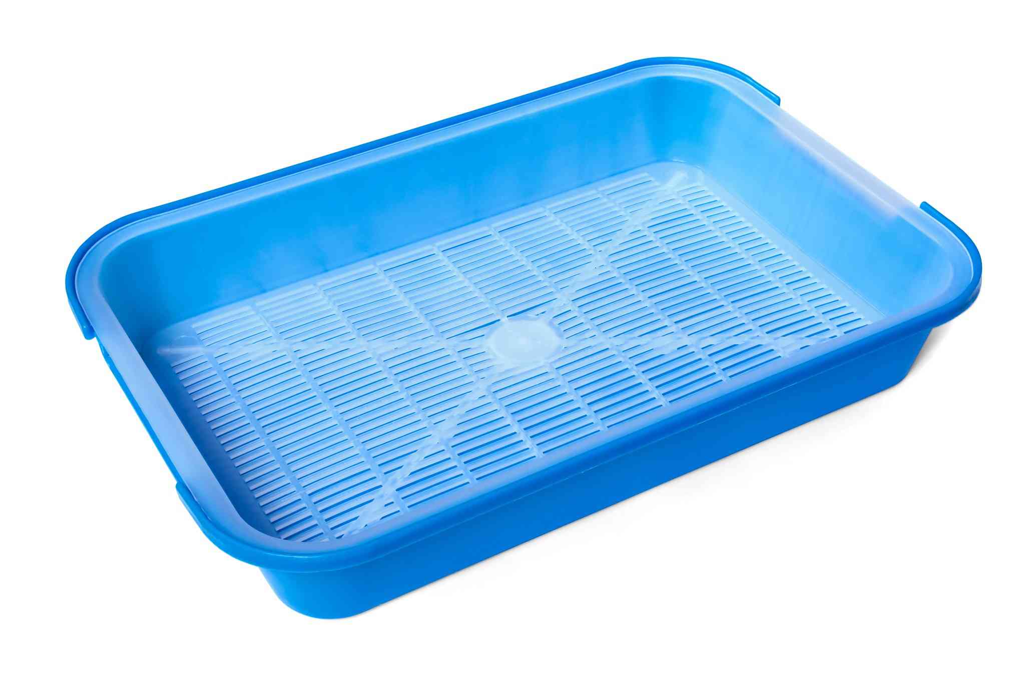 Large Litter Box